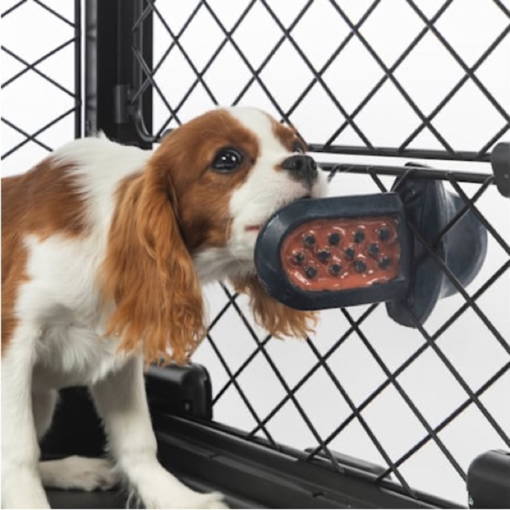 Diggs Groov Silicone Crate Training Tool